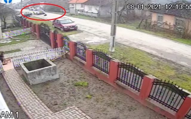  (VIDEO) Câine călcat intenţionat cu maşina. Şoferul fără milă, căutat de Poliţie