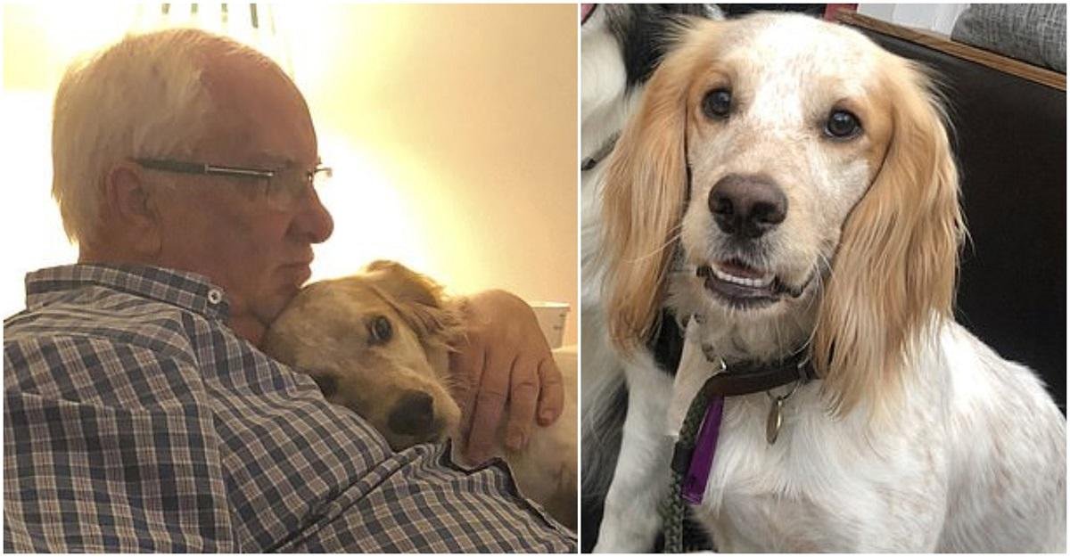  Recompensă oferită de un pensionar pentru câinele care îl ajuta să scape de depresie
