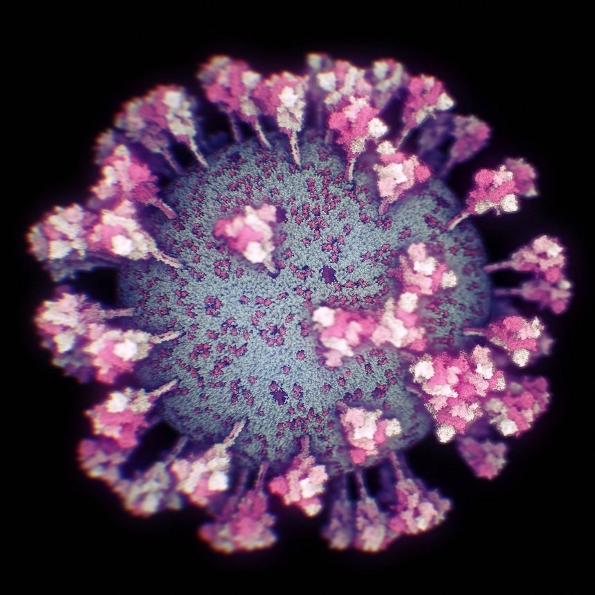  Cercetătorii au reuşit să facă prima fotografie 3D a coronavirusului