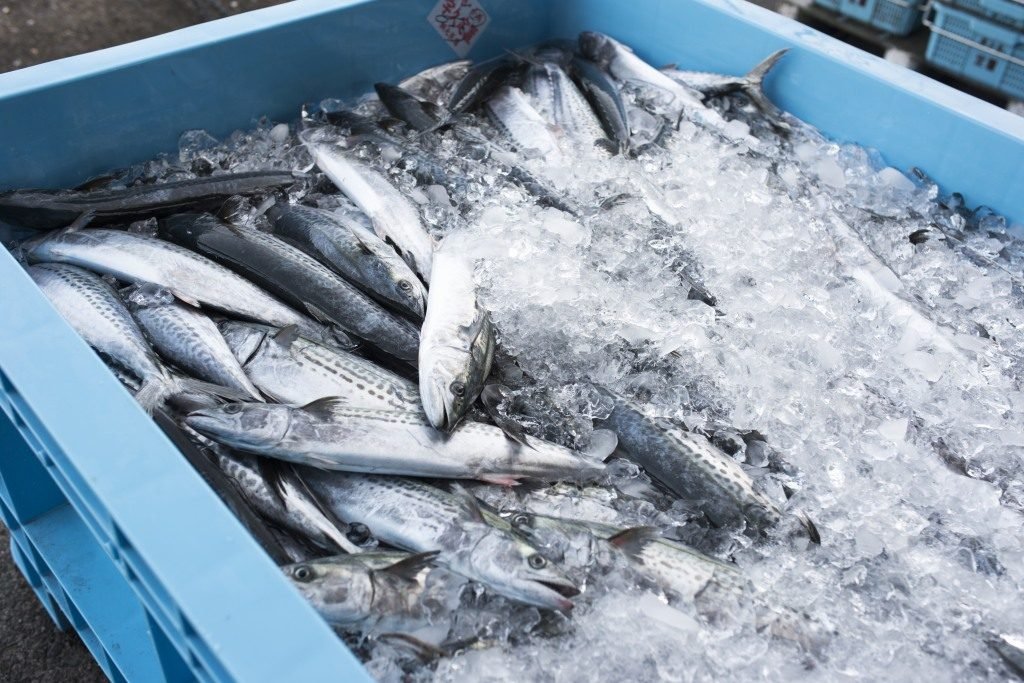  Sute de containere de peşte congelat sunt blocate în portul chinez Dalian