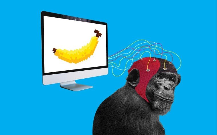  O maimuţă cu un cip în creier joacă jocuri video. Anunţul lui Elon Musk