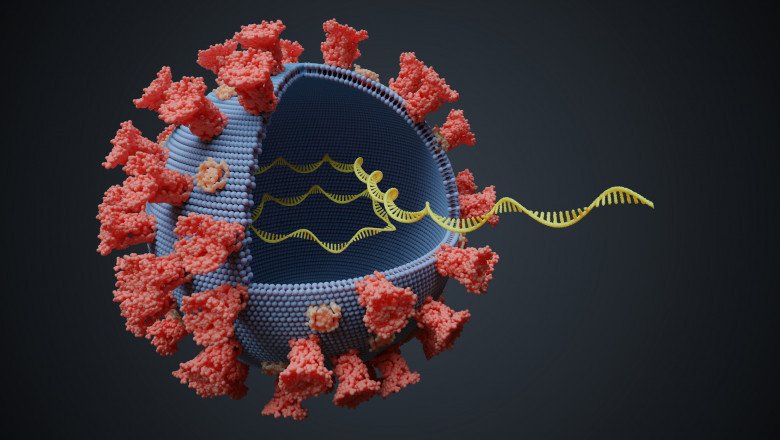  Ministerul Sănătăţii anunţă oficial confirmarea a 27 noi cazuri de infectare cu noua tulpină de coronavirus