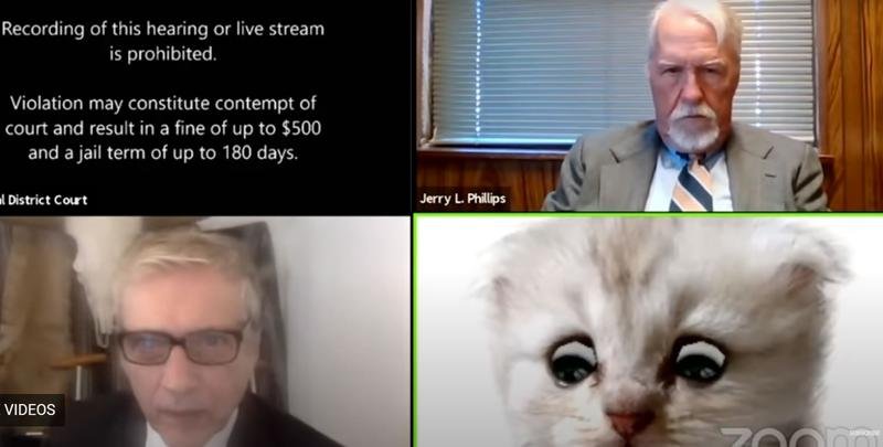  VIDEO: Un avocat a pledat cu filtrul pisică într-o audiere online în fața judecătorului