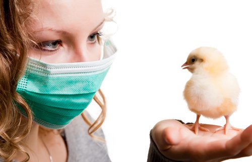  Rusia a înregistrat primele cazuri de transmitere a gripei aviare la om