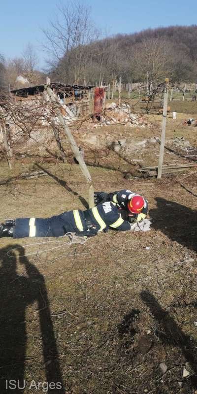  Argeş: Pompierii au salvat un ied căzut într-un puţ adânc de 12 metri