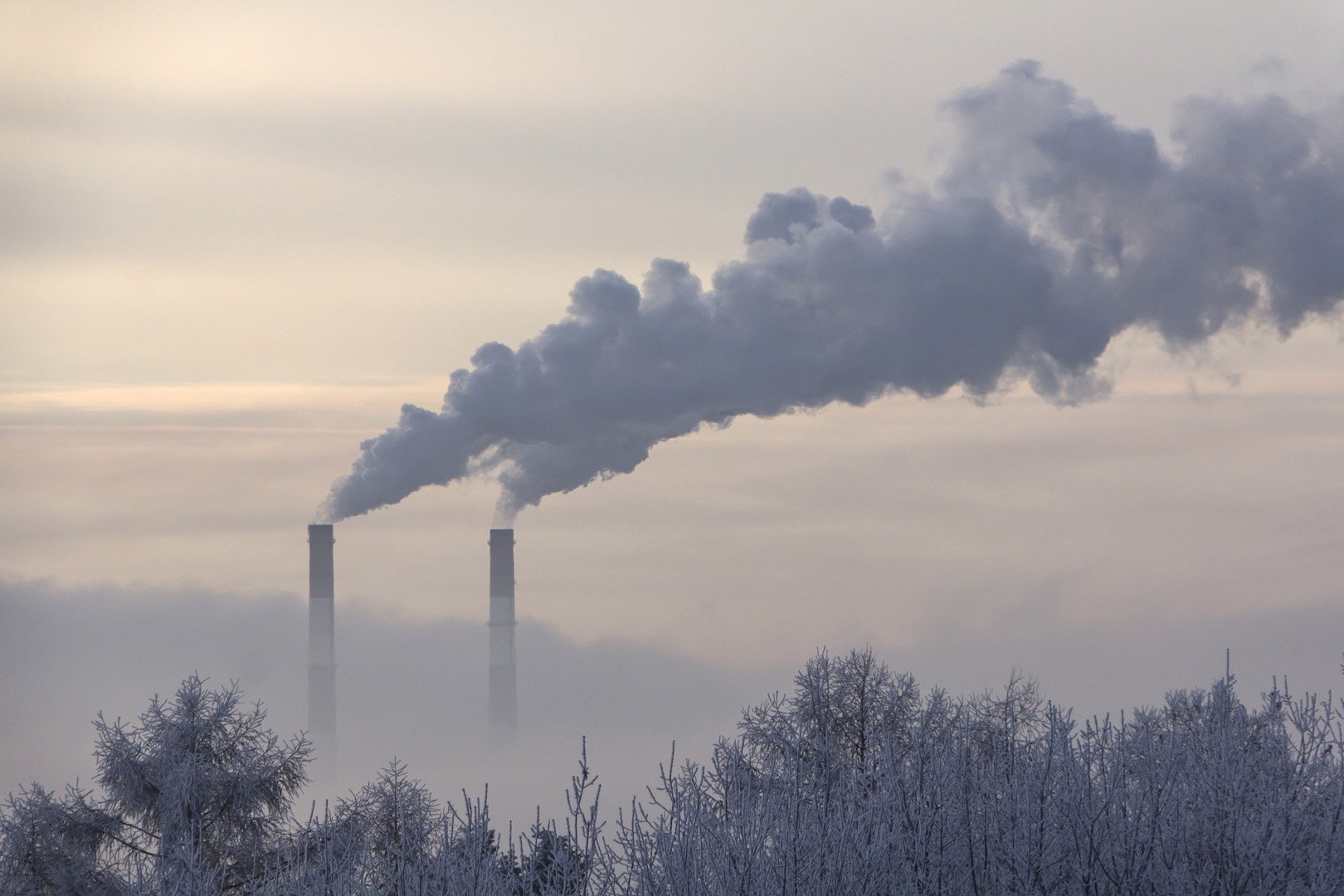  Partea bună a pandemiei: Emisiile globale de CO2 au scăzut cu 7% în 2020