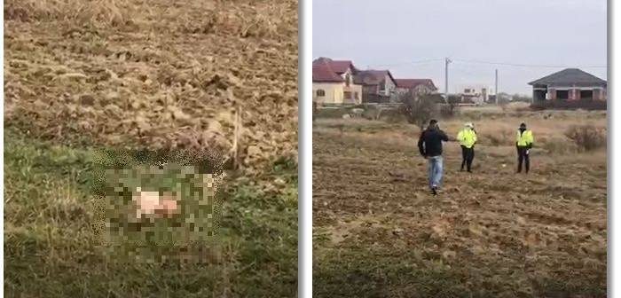  Trupul neînsufleţit al unui nou-născut a fost găsit pe un câmp de lângă Timişoara
