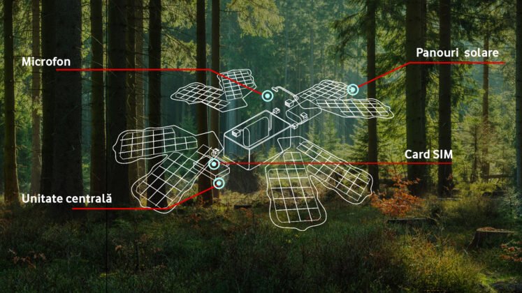  Vodafone a conectat la o pădure din Covasna un sistem de monitorizare şi semnalizare în timp real