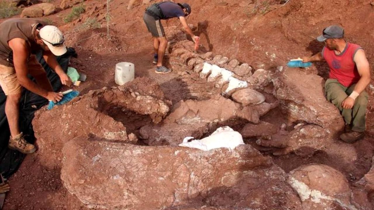  Rămăşiţele unui dinozaur erbivor, descoperite de cercetători în cel mai arid loc de pe Pământ