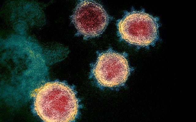  Variantă indiană a coronavirusului, detectată în „cel puţin 17 ţări”