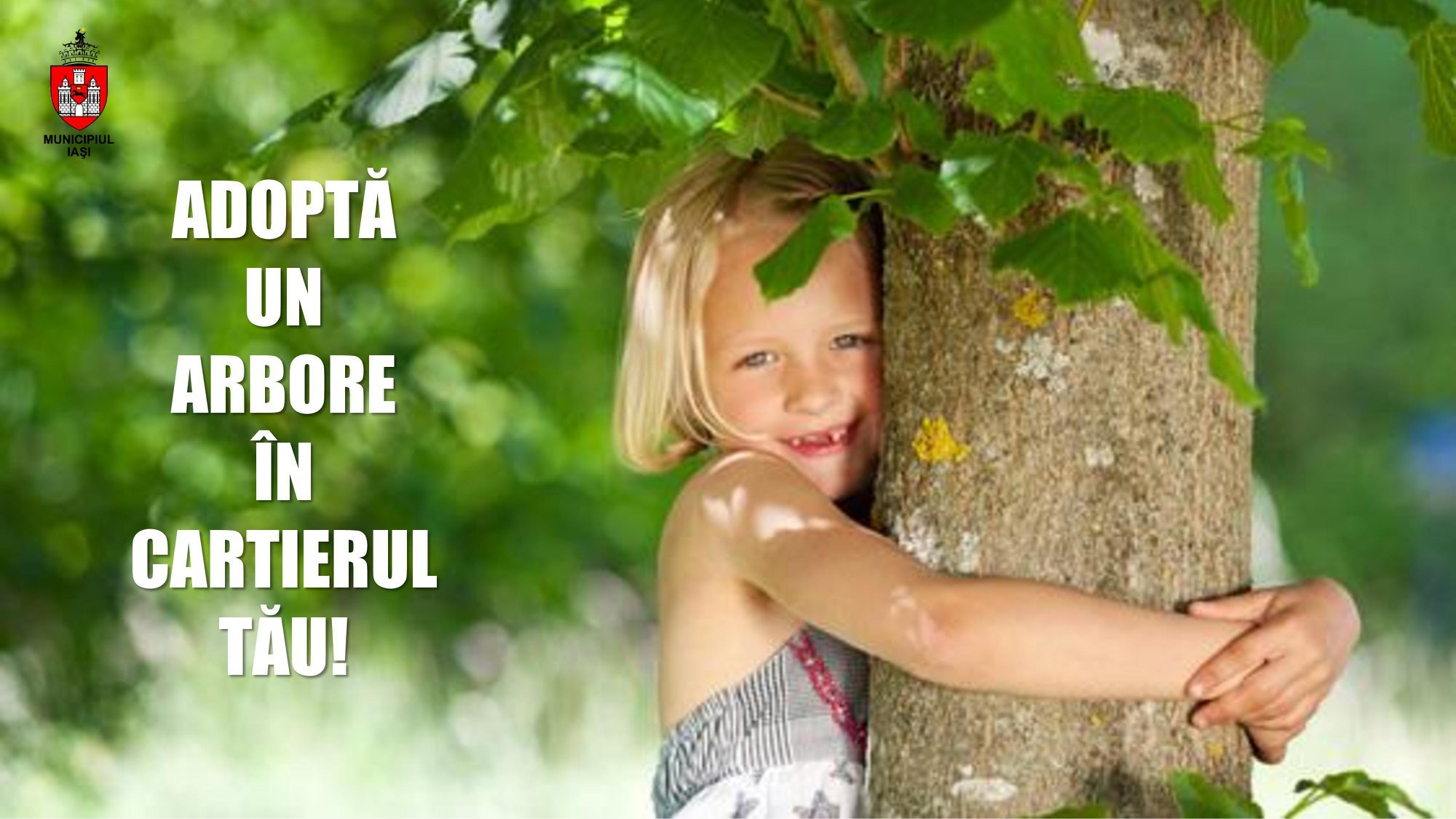  Puteți adopta un arbore din Iași! Îi dați un nume și primiți un certificat
