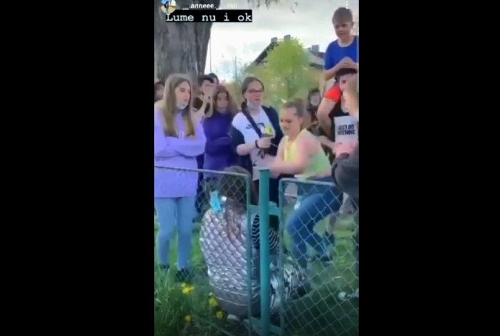  VIDEO Adolescenta umilita si batuta intr-un parc, de alti copii