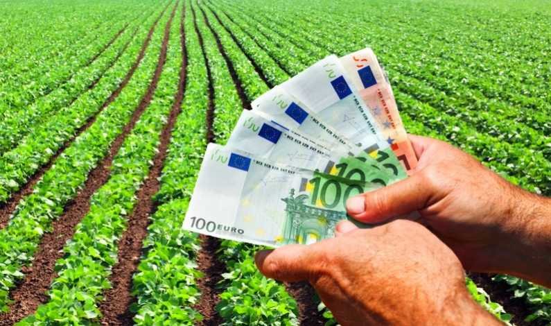  Tinerii fermieri din diaspora pot solicita fonduri nerambursabile de 20 milioane euro până pe 5 iulie
