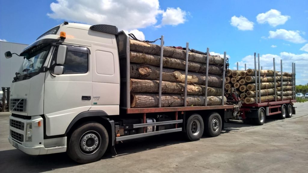  Camion de 20.000 de euro confiscat deoarece transporta lemne fără acte