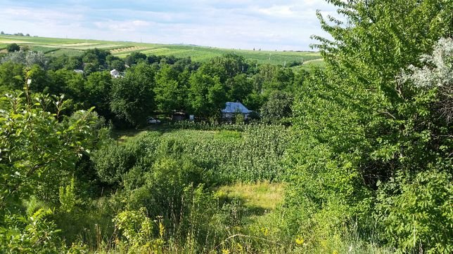  Agricultori din Botoșani, bătuți și amenințați de un individ care intenționa să le ia pământurile