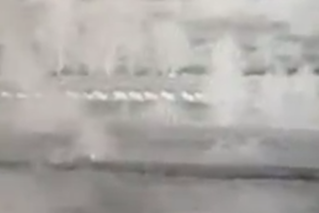  VIDEO Migranți filmați în timp ce trec granița în patru labe pentru a semăna cu o turmă de oi