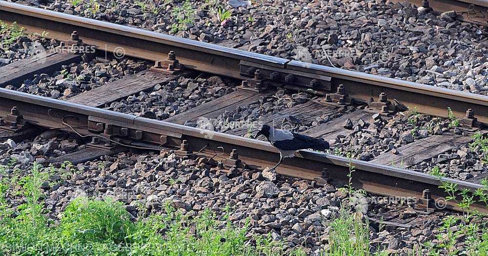  Iaşi: O persoană a murit după ce s-a aruncat în faţa trenului