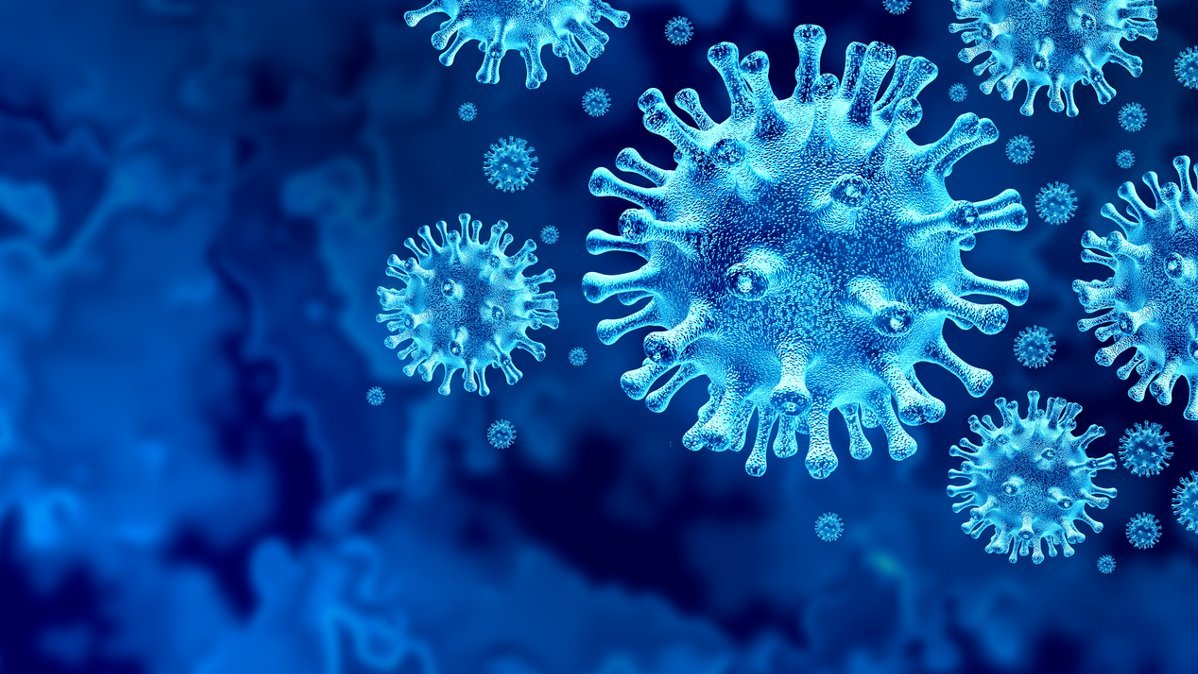  Liderii G7 vor cere OMS o nouă anchetă privind originea coronavirusului