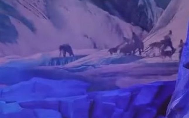  VIDEO Spectacol înfricoşător în China: O haită de 30 de lupi atacă actorii pe scenă
