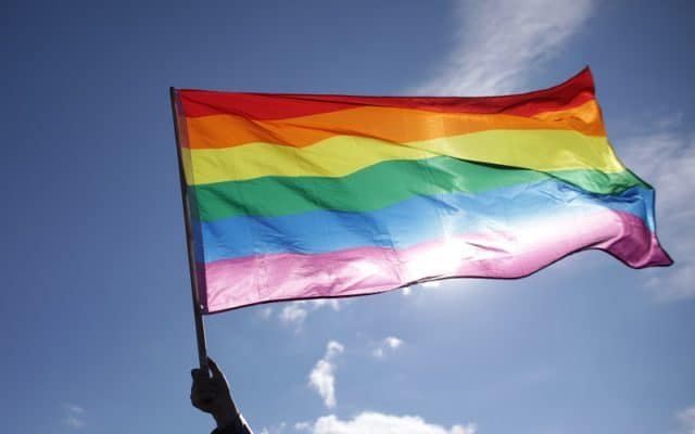  Mai multe ţări europene, între care Germania Franţa şi Olanda, condamnă Ungaria din cauza noii legi anti-LGBTQ