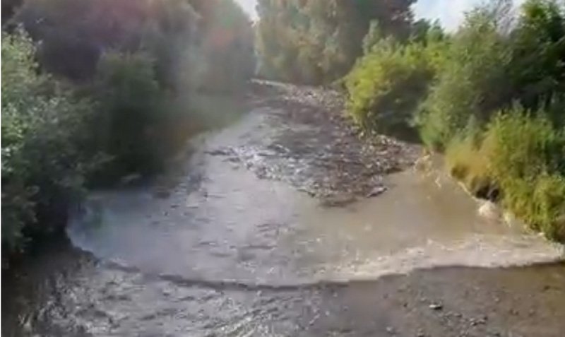  VIDEO Secunda în care un râu liniștit se transformă în viitură cu tone de gunoaie (jud Alba)