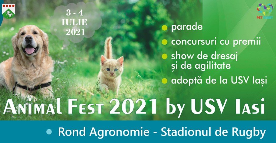  TEASER: Pregătește-ți prietenul blănos de festival și hai la Animal Fest în Iași!