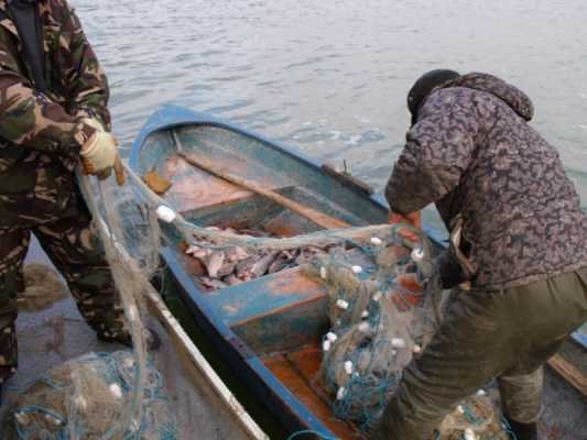  Prinşi pe iaz cu 150 kg de peşte furat