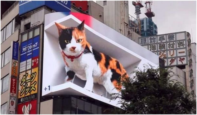  VIDEO: O pisică 3D uriașă prinde viață și toarce deasupra unei gări din Tokyo