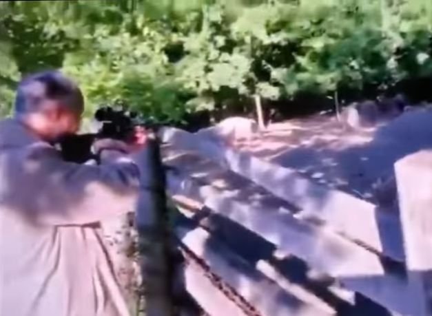  VIDEO Imagini revoltătoare: Dodon, filmat în timp ce împușcă mistreți aflați în captivitate