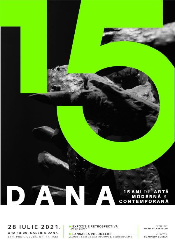  DANA – 15 ani de artă modernă și contemporană