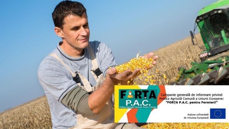 Perioada de tranziție la noua Politică Agricolă Comună. Ce fonduri sunt disponibile pentru fermieri (P)