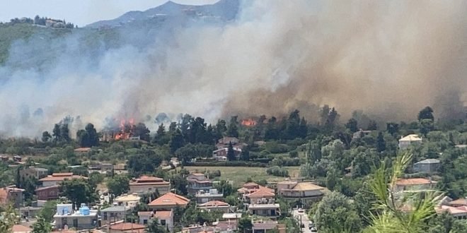  Două suburbii din Atena evacuate în urma unui incendiu care a ars mai multe case