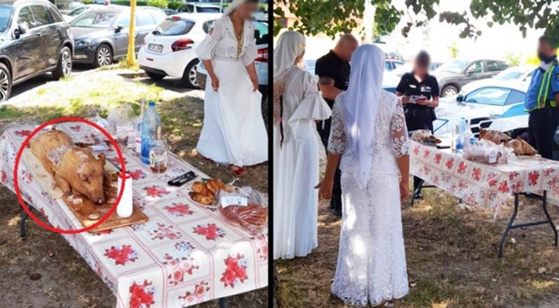  Romii aflați în vacanță la Mamaia au pus de-o petrecere cu purcel la proțap în fața hotelului