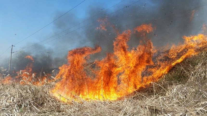  45 de pompieri intervin pentru stingerea unui incendiu violent de vegetaţie