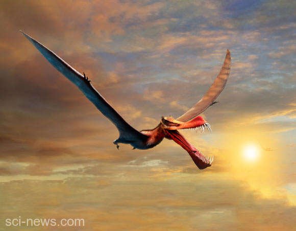  Rămăşiţele unui dinozaur zburător, asemănător unui dragon, descoperite în Australia