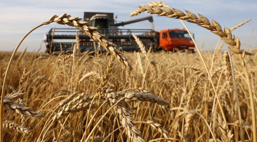 Producţia record de grâu: cea mai mare producţie după aderarea României la UE