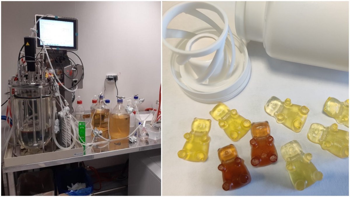  Institutul Cantacuzino lucrează la noul Polidin: capsule gelatinoase și spray nazal