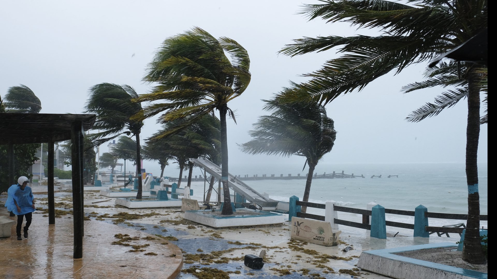  Cel puţin 8 morţi după ce furtuna tropicală Grace a lovit Mexicul