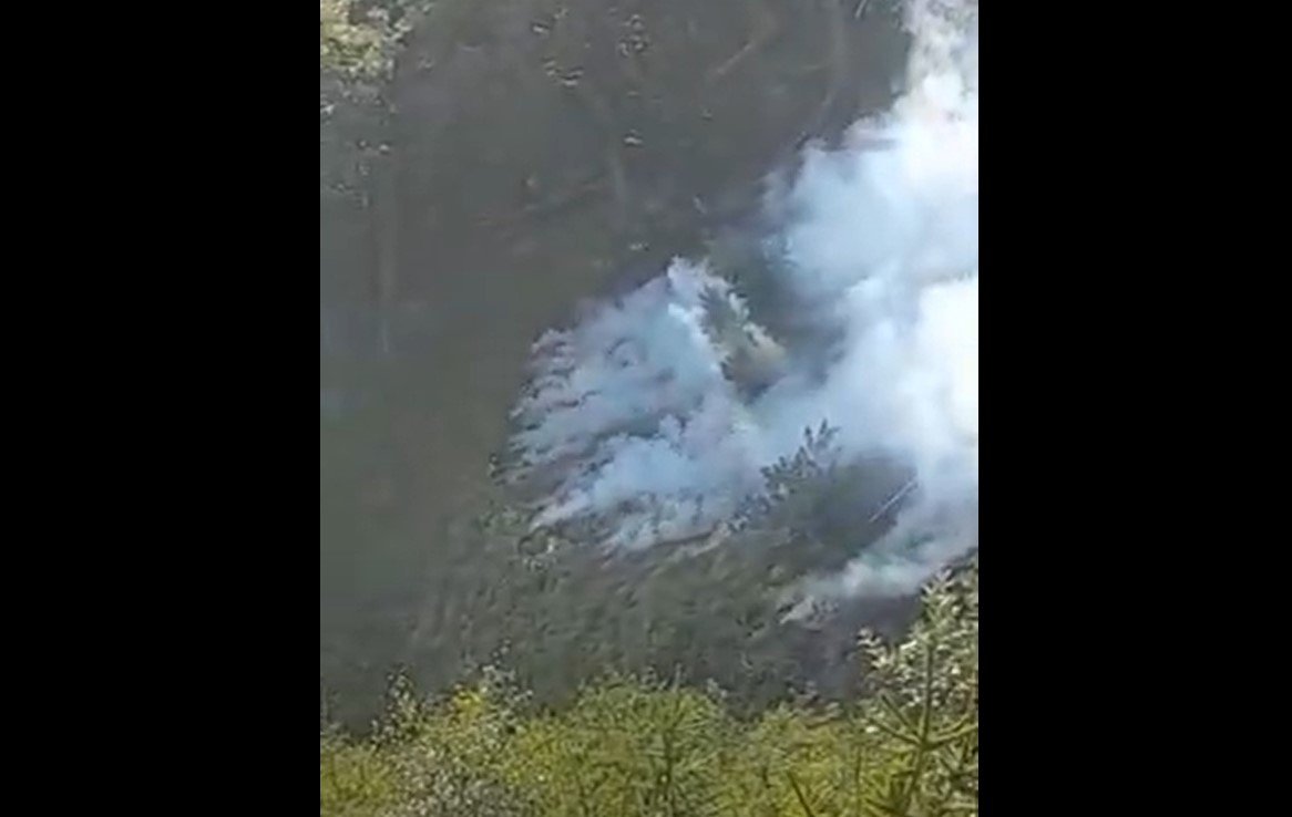  VIDEO: Incendiu de pădure în Munţii Căpăţânii. Patru hectare de copaci tineri au fost cuprinse de flăcări