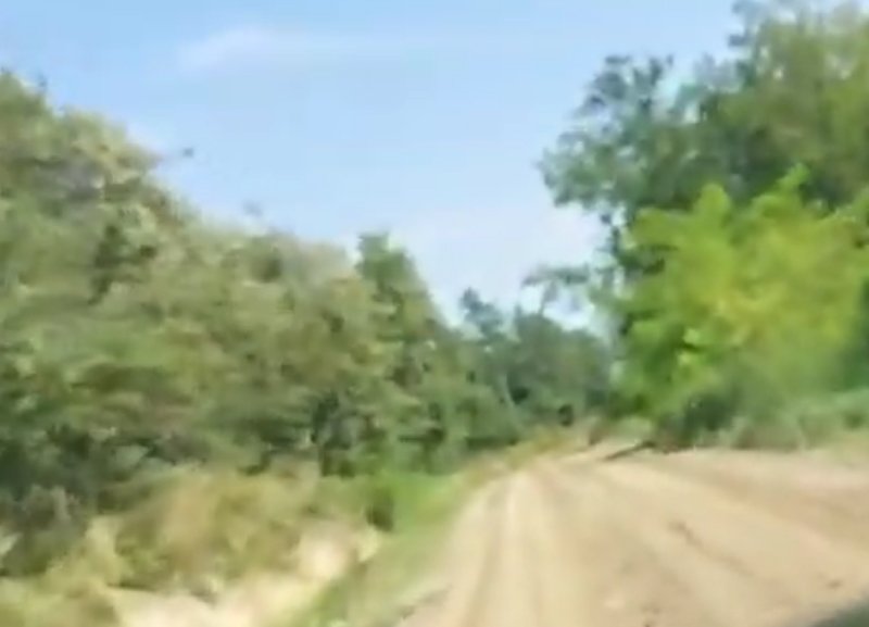  VIDEO Cum puteți scăpa de traficul din Bucium. Drumul ignorat (dar superb) din pădurea de la Păun