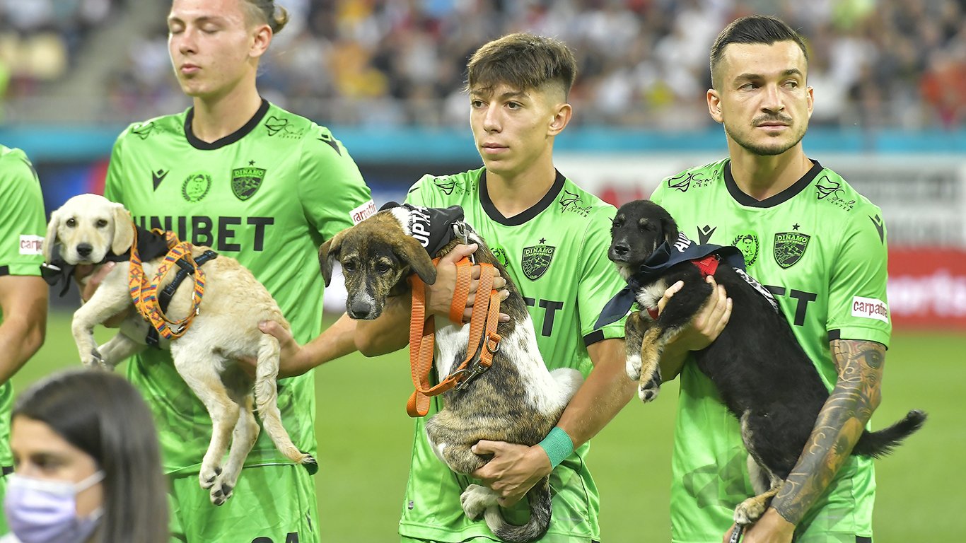  FOTO: Zeci de mii de like-uri pentru dinamoviștii care au venit cu câini în brațe
