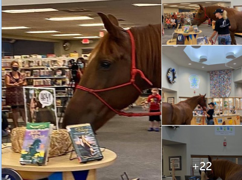  Angajații unei librării au adoptat un cal pe nume Hank. Animalul face boacăne, dar copiii îl adoră