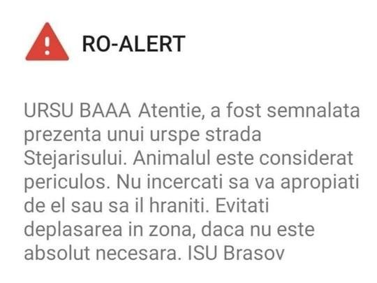  „Ursul, băăă!” – mesaj Ro-Alert trimis locuitorilor din Brașov. ISU anunță anchetă