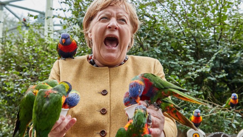  FOTO  Angela Merkel a vizitat parcul de păsări din Marlow și a oferit imaginea zilei