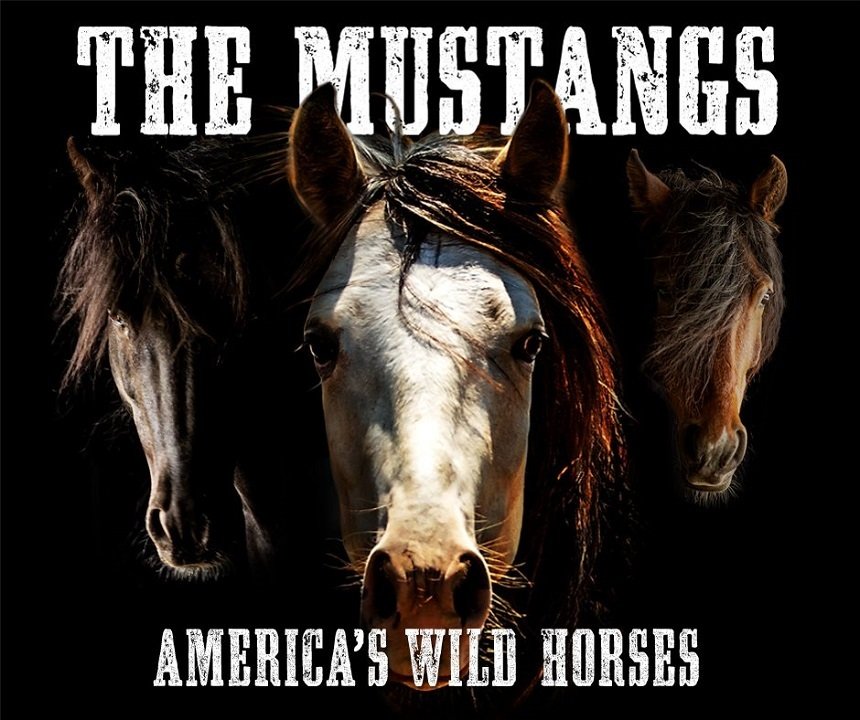  VIDEO: Documentar despre caii sălbatici ai Americii cu Robert Redford şi Bruce Springsteen