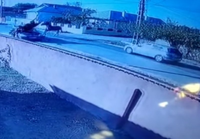  VIDEO Mașină făcută praf de doi cai, pe un drum național