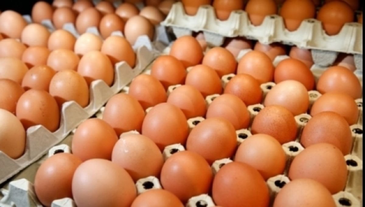  Prețul ouălor, în continuă creștere. La iarnă va fi cel mai greu pentru cumpărători