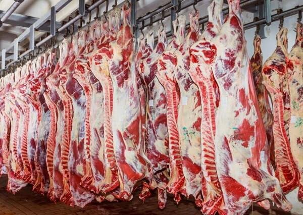  Cum „subtiliza” un director de vânzări de la Kosarom carcasele de porc