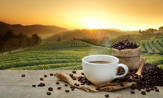  Astăzi este sărbătorită Ziua internațională a cafelei