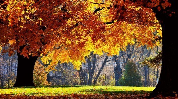  Meteorologi: În luna octombrie se pot atinge în România şi 38 de grade Celsius